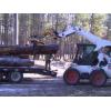 Sustainably Harvested Logs